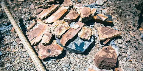 A collection of rock fragments showing fossilized plant impressions lies on the ground next to a tool handle.
