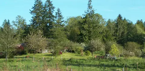 A rural landscape with a house surrounded by trees and a parked truck in the field.