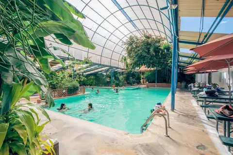 People enjoy a swimming pool inside a greenhouse-like enclosure with lush plants.