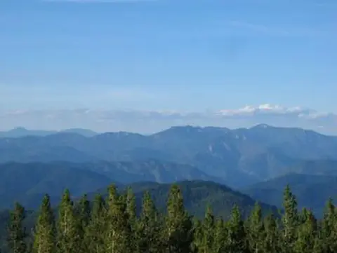 A scenic landscape view of distant blue mountains and a forest of evergreen trees in the foreground.
