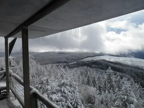 A view of a snowy forest and mountains from under a roof with icicles.