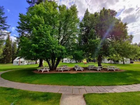 A grassy area with picnic tables under large trees and white buildings in the background.