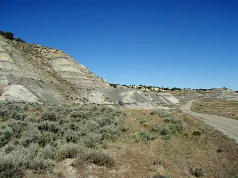Landscape at Big Cedar Ridge fossil plant area.