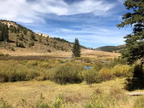 A scenic view of a grassy meadow with a small stream, trees, and hills under a blue sky with clouds.