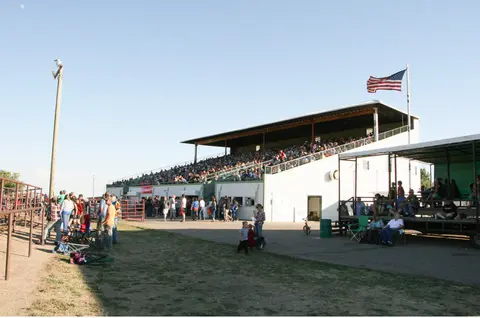 A crowd of people gathered in the stands at an outdoor event.