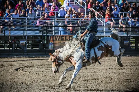 A cowboy rides a bucking horse in a rodeo arena.