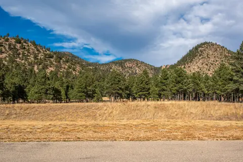 A landscape featuring a paved foreground, dry grass field, line of pine trees, and rolling hills under a cloudy sky.
