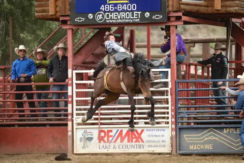A cowboy is bucked off a horse in a rodeo arena while spectators watch.