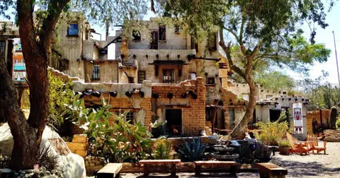 Exterior view of a historic adobe style building surrounded by trees and cacti.