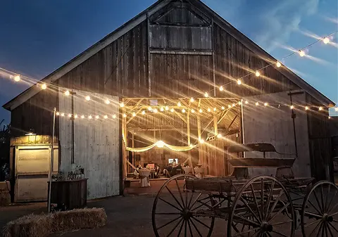 An old wooden barn decorated with string lights for an event at dusk.
