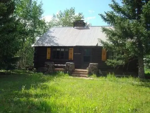 A log cabin with a metal roof surrounded by trees and a grassy yard.