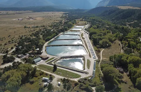 An aerial view of a fish hatchery with multiple ponds situated in a valley.