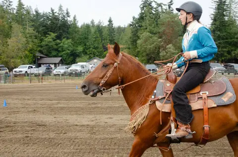 A person rides a horse in a dirt arena.
