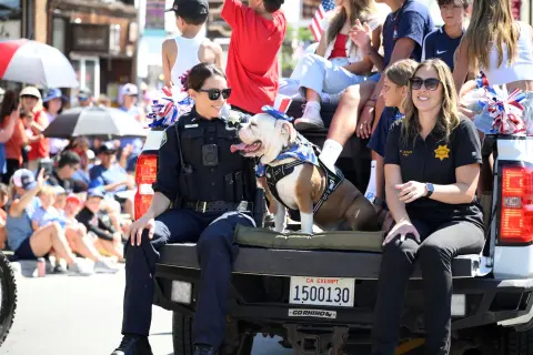 A police officer, a woman, and a bulldog sit in the back of a truck during a parade.
