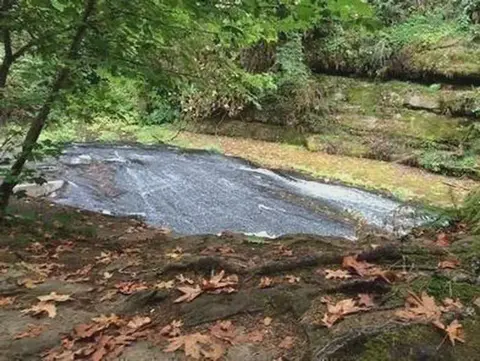 A gentle stream flows over a smooth rock formation in a wooded area.