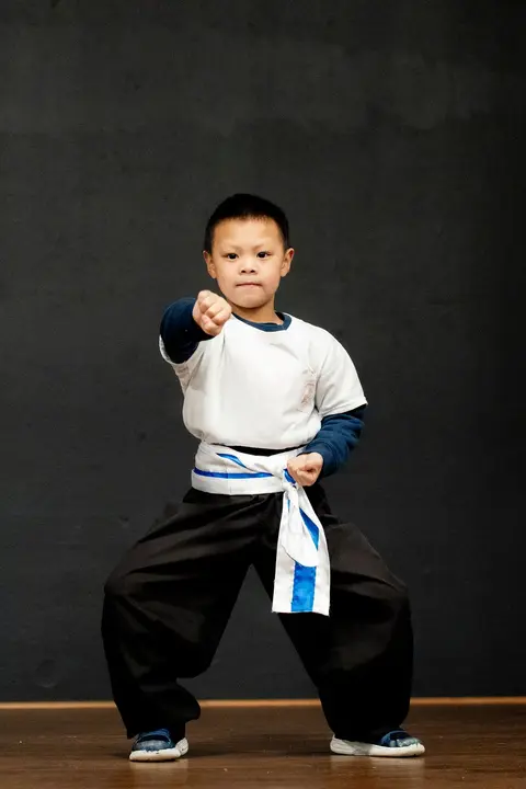 Martial arts demonstration, Hercules Cultural Festival.