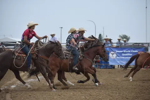 Cowboys on horseback participating in a rodeo event.