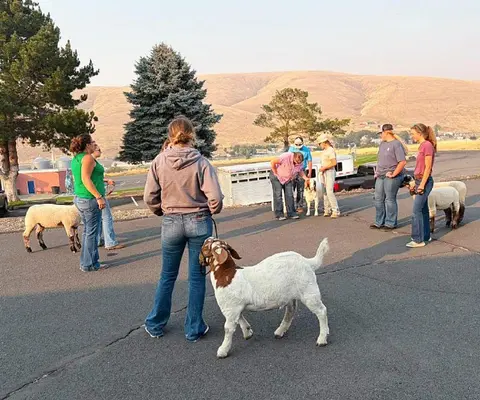 People standing with goats and sheep outdoors.