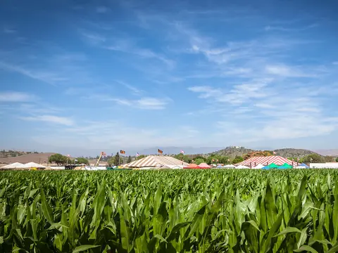 A view of striped circus tents set up behind a green field under a blue sky.