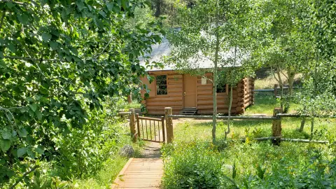 A small log cabin nestled among trees with a wooden walkway and fence in the foreground.