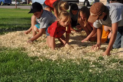 Children search through wood shavings on the ground outdoors.