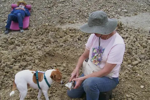 A woman kneeling in rocky terrain examines an object with a dog while a man rests in the background.