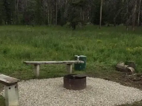 A campsite with a fire ring and wooden benches in a grassy clearing.