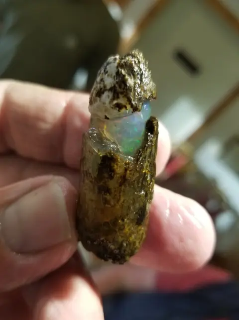 A hand holds an uncut opal crystal in matrix.