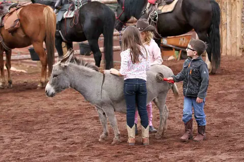 Children groom a small donkey in an enclosure with horses nearby.
