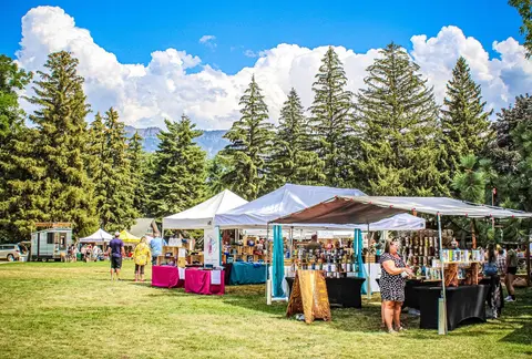 People browse booths at an outdoor market set up on a grassy lawn.