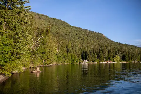 A scenic view of a forest-covered mountain slope beside a calm lake.