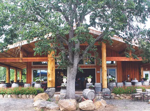A wooden building with a large tree in front and wine barrels.