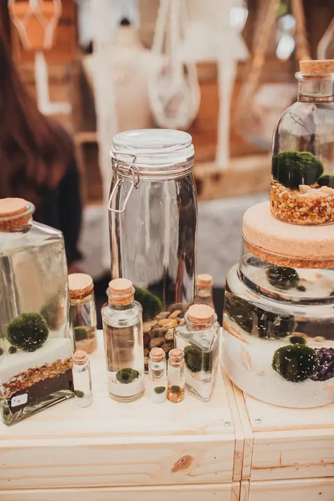 Glass jars containing moss balls and stones are displayed on a wooden table.