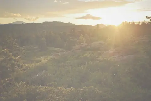 A sunset over a forested landscape with hills in the distance.