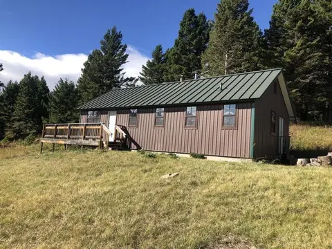 A single-story brown cabin with a green metal roof stands in a clearing surrounded by trees.