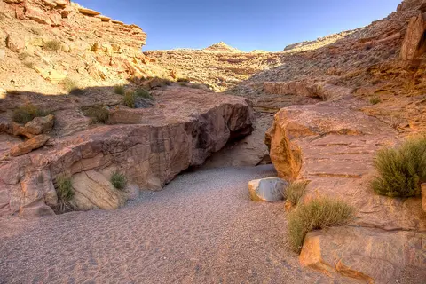A rocky canyon wash with sparse vegetation under a clear blue sky.
