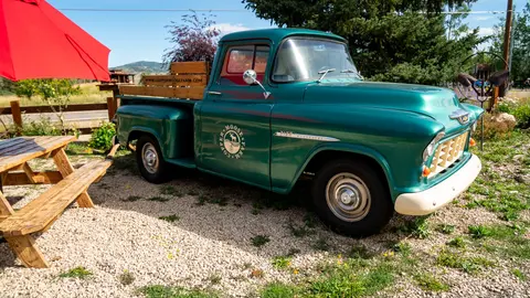 A vintage green pickup truck is parked on gravel next to a wooden picnic table.