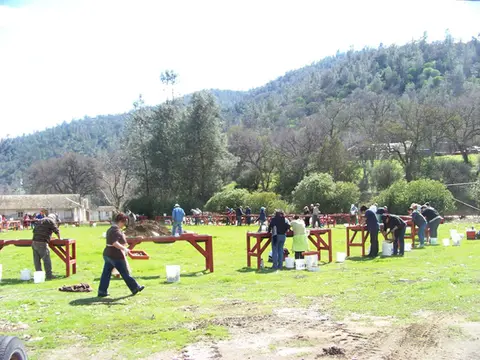 People panning for gold at outdoor tables in a grassy field.