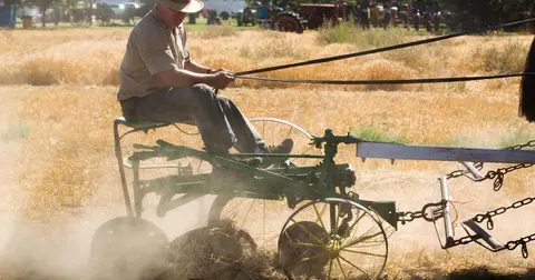 A man rides a horse-drawn agricultural machine in a field.