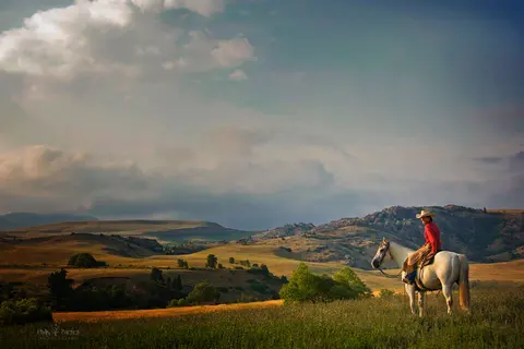 A person on a white horse looks across a rolling landscape under a cloudy sky.