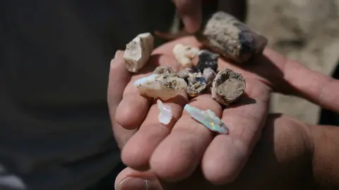 A person's hands holding several small opals and rough stones.
