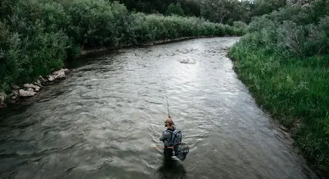 A person fly fishes in a river surrounded by lush green trees and vegetation.