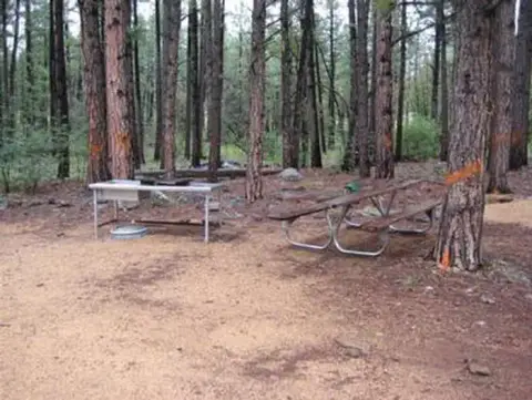 A campsite with a picnic table and grill set among tall pine trees.