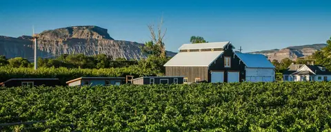 A farm with a large barn and fields set against a mountain landscape.