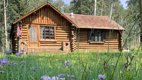 A log cabin sits in a grassy meadow surrounded by trees.