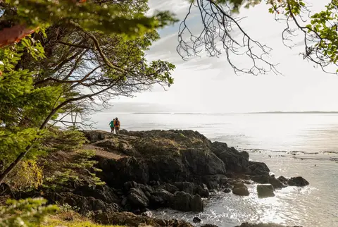 Two people stand on a rocky coastline overlooking the ocean beneath framing tree branches.