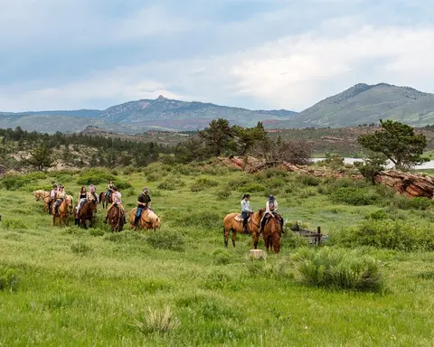 A group of people ride horses through a grassy field with mountains in the distance.