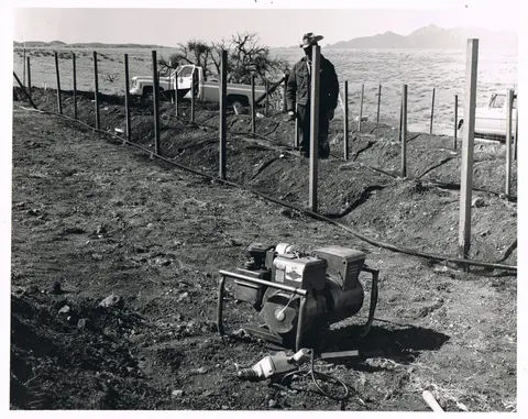 A historic black and white photograph showing a person working on fencing posts in an outdoor landscape.
