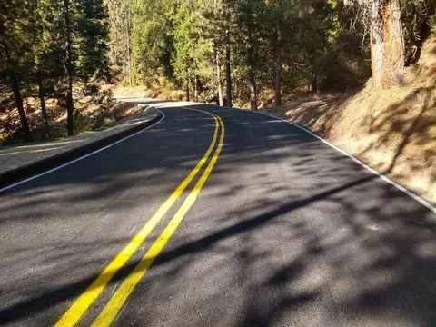 A paved road curves through a forest with tall trees and a dirt bank.