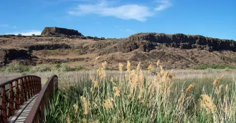 A wooden bridge leads through tall reeds with rocky hills and a blue sky in the background.